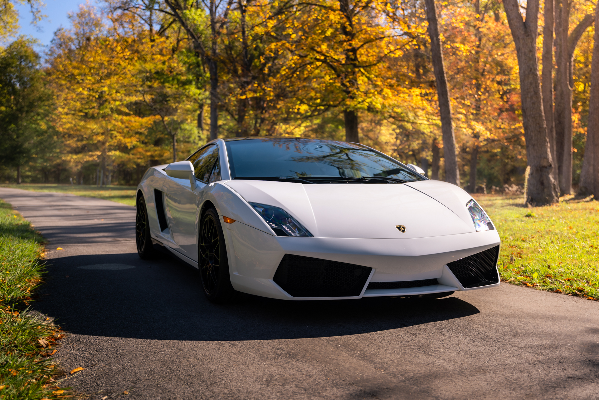 Placeholder Select Dynamic field